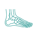 Foot & Ankle